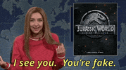 I See You Youre Fake Heidi Gardner GIF by Saturday Night Live