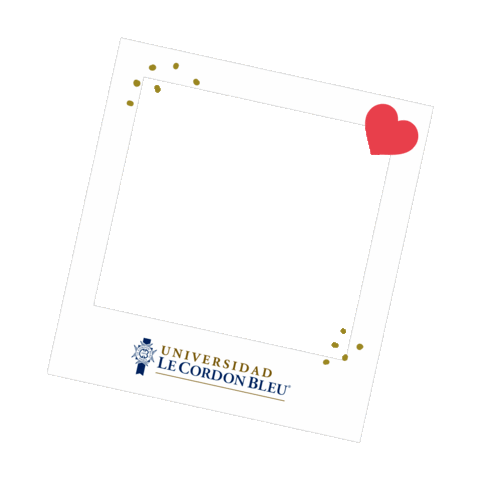 UCordonBleu giphyupload frame marco ulcb Sticker