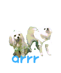 아르르 Sticker by arrr_official