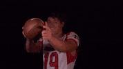 Msumfootball GIF by MSUM Dragons