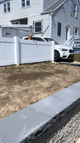 cuteanimalland giphyupload GIF