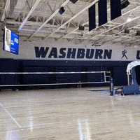 Mascot Pointing GIF by Washburn University