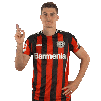 Oh No Smh Sticker by Bayer 04 Leverkusen