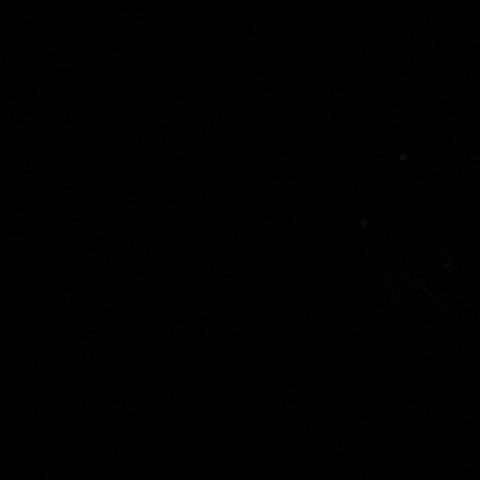 Black Ops Baseball GIF by Call of Duty