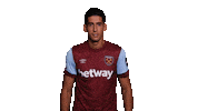 Premier League Hammers Sticker by West Ham United