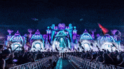 music festival GIF by Insomniac Events