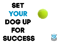 Dog Trainer Success Sticker by Blue9PetProducts