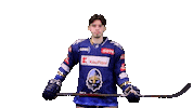 Hokej Filip Sticker by Rytíři Kladno