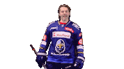 Hokej Jagr Sticker by Rytíři Kladno