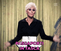 radiotelevisionesvizzera swiss suisse passport svizzera GIF