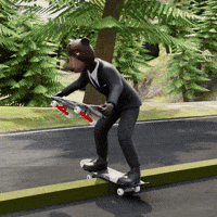 okay-bears skateboard fabulous hair flip fierce GIF