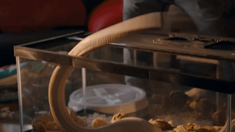 season 2 epix GIF by Get Shorty