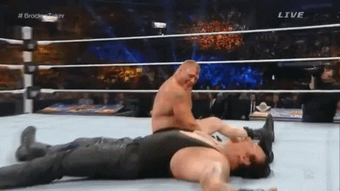 Brock Lesnar Wrestling GIF by WWE