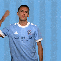 Major League Soccer Reaction GIF by NYCFC