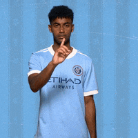 New York City Fc Reaction GIF by NYCFC