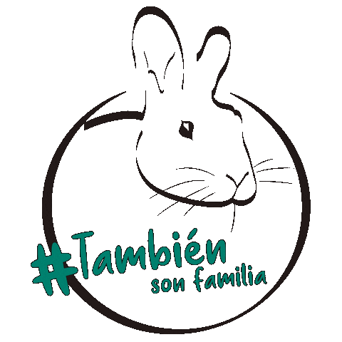 Familia Conejos Sticker by Bunny Lovers