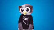 mascot shrug GIF by Hootsuite
