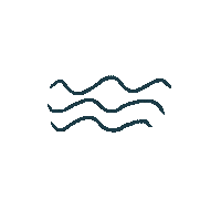Waves Saltwater Sticker by Saltwater-Shop.com