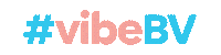 Vibebv Sticker by banco BV