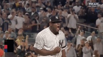 Yankees GIF by Jomboy Media