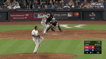 Yankees GIF by Jomboy Media