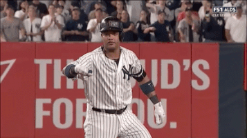 Yankees GIF by Jomboy Media