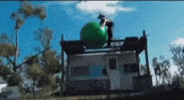 Dave England Jackass GIF