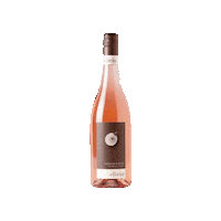 Cheers Wine Sticker by Mondevino