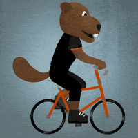 Oregon State Bicycle GIF by Oregon State University