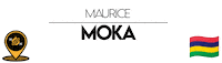 Nn Mu Sticker by NoirNomads