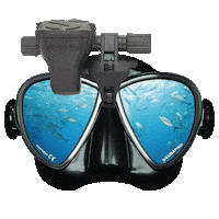 Mask Fish Sticker by Scubapro