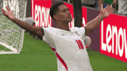 Winning Lets Go GIF