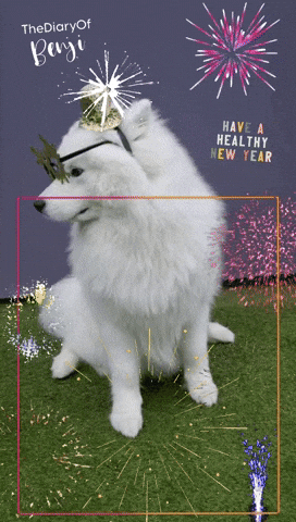 Fireworks GIF