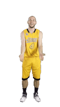 Basketball Swipe Sticker by ACSL - Austrian College Sports League