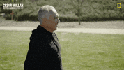 Dogwhisperer GIF by National Geographic Channel