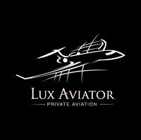 Lux-Aviator jet GIF