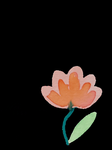 Mycolorfulsquares giphygifmaker flower floral pink flower GIF