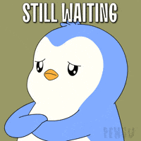 GIF by Pudgy Penguins