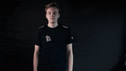 Vikings No GIF by Lyngby eSport