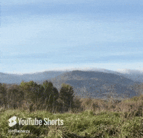 Run Running GIF by HRejterzy