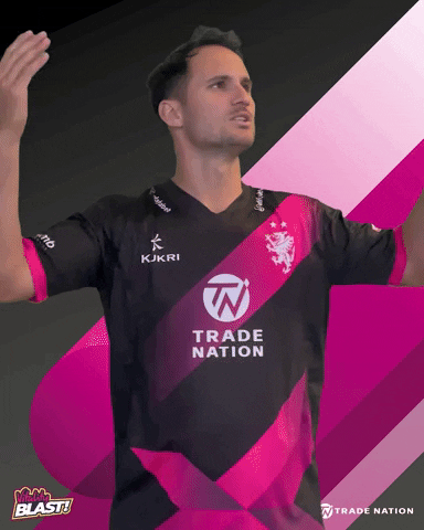 Hype Celebrate GIF by Somerset County Cricket Club