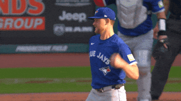 Lets Go Baseball GIF by Toronto Blue Jays