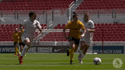 spin vero GIF