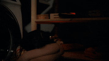 Hiding Emergence GIF by ABC Network