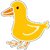 Bird Duck Sticker