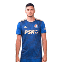 Football Soccer Sticker by GNK Dinamo
