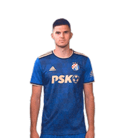 Football Soccer Sticker by GNK Dinamo