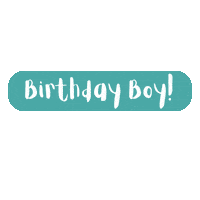 Happy Birthday Sticker by Organum Co
