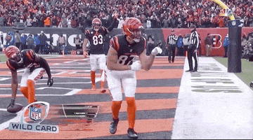Nfl Playoffs Football GIF by NFL