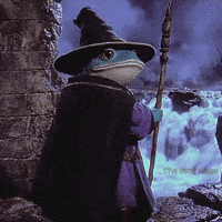 The_Frog_Mage what shocked magic surprised GIF